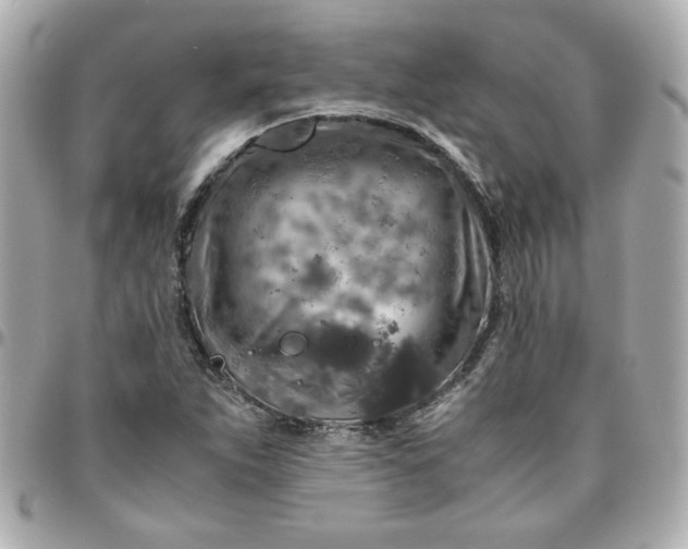 X0000096481263200802071911