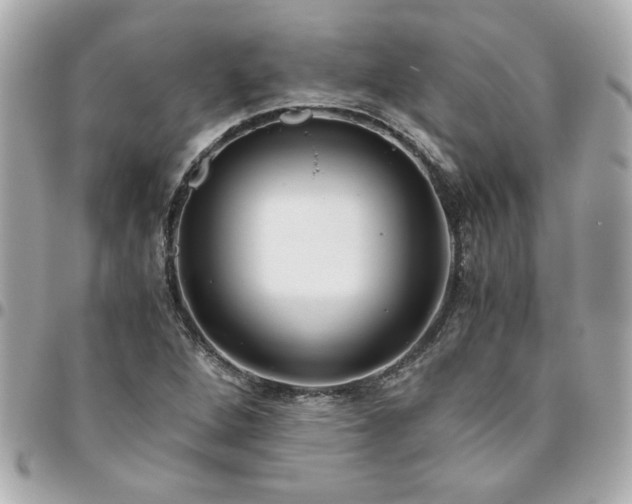 X0000096481264200802071911