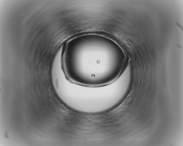 X0000096481265200802071911