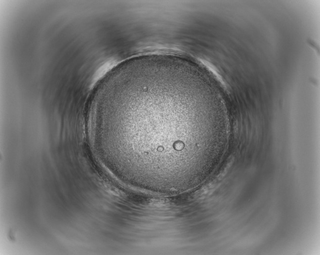 X0000096481267200802071911