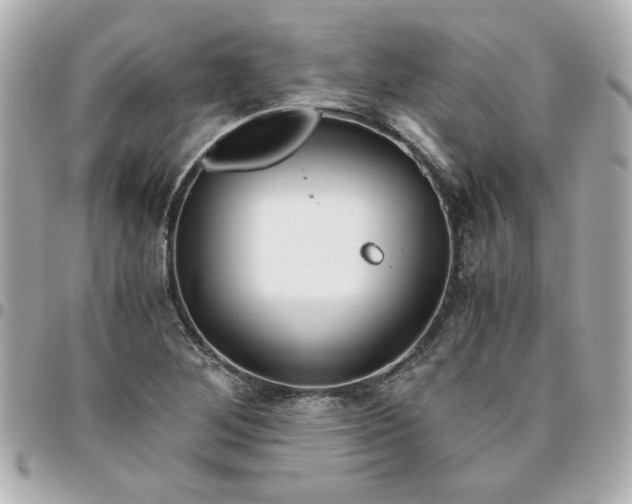 X0000096481268200802071911