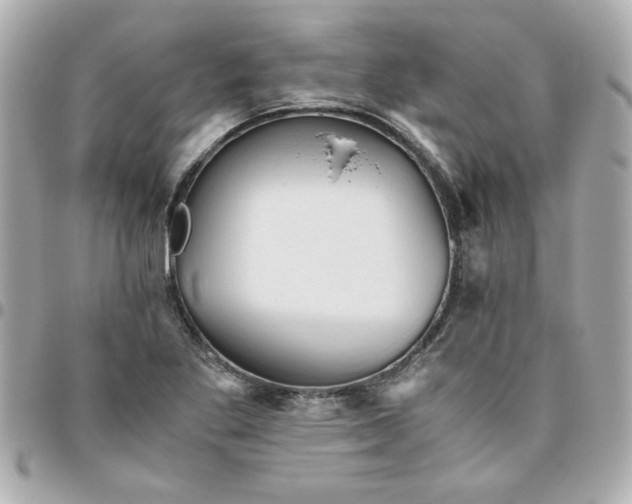 X0000096481269200802071911