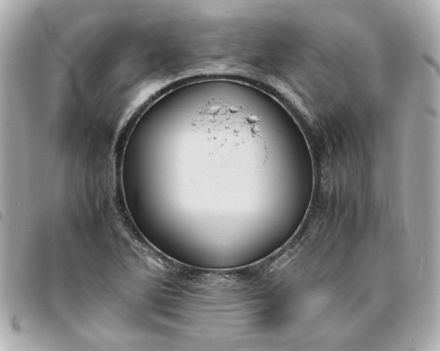 X0000096481270200802071911