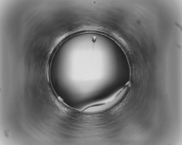 X0000096481272200802071911