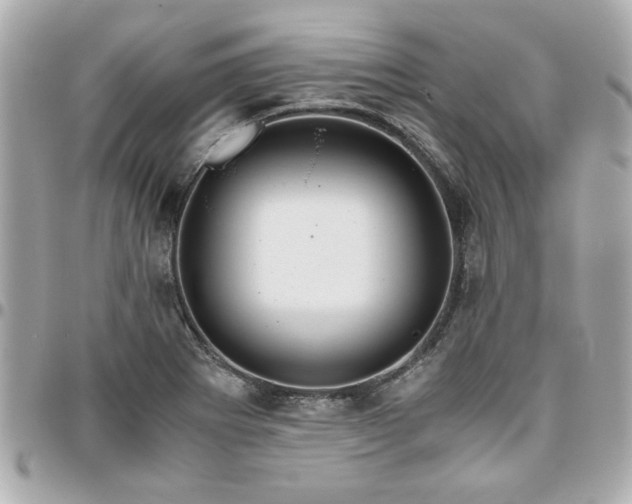 X0000096481273200802071911