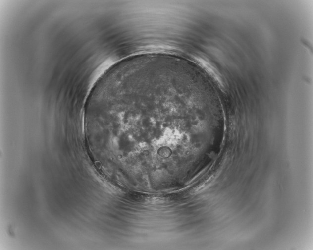 X0000096481275200802071911