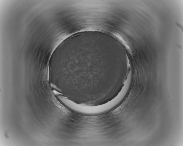 X0000096481276200802071911