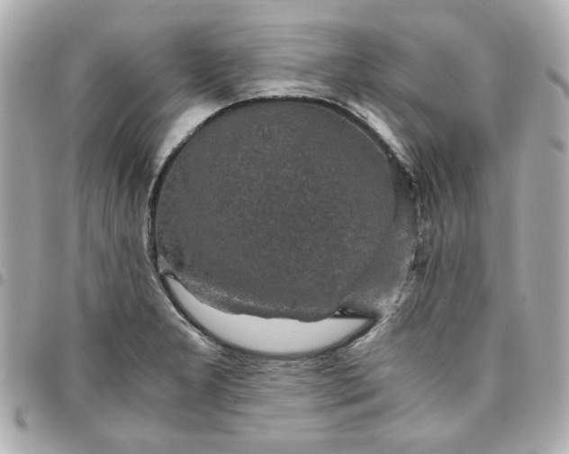 X0000096481277200802071911