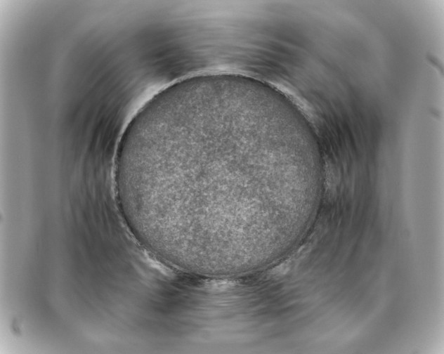 X0000096481278200802071911