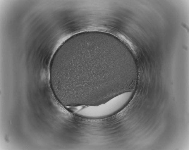 X0000096481280200802071911