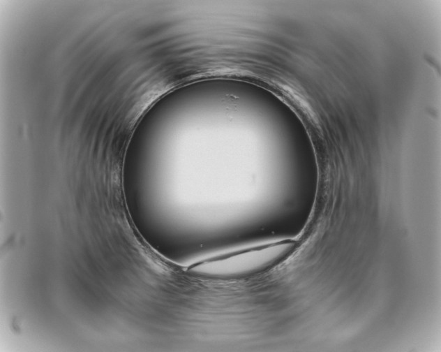 X0000096481281200802071911