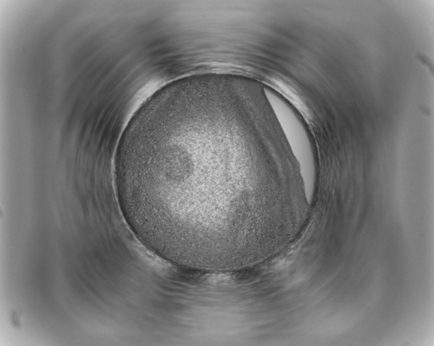 X0000096481283200802071911