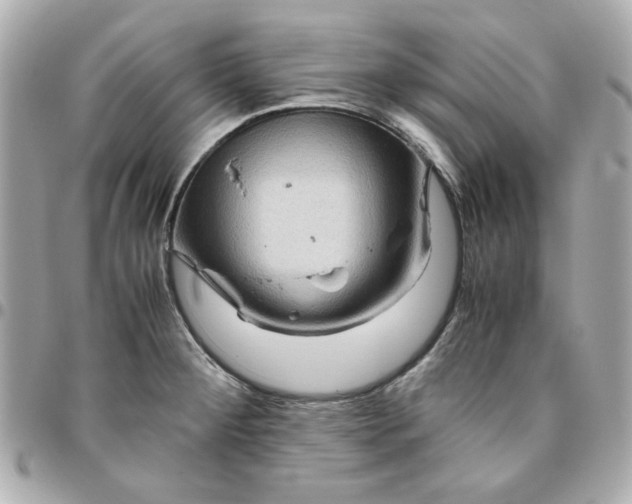 X0000096481284200802071911