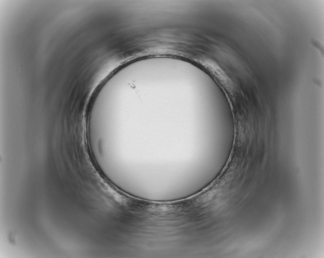 X0000096481286200802071911