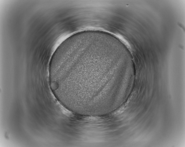 X0000096481287200802071911