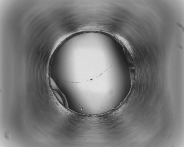 X0000096481288200802071911