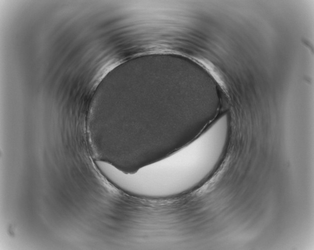 X0000096481289200802071911