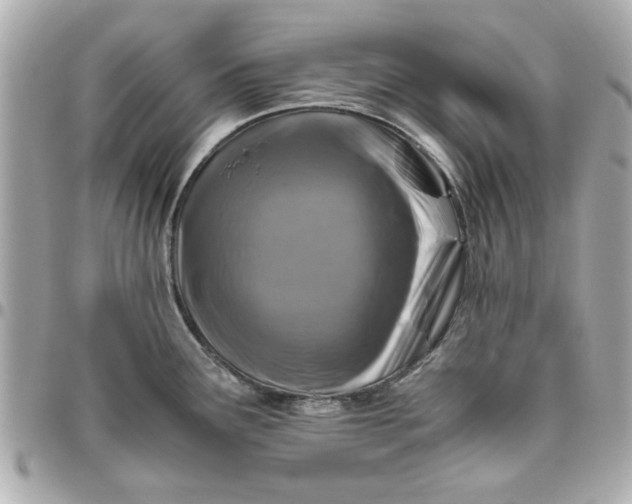 X0000096481291200802071911