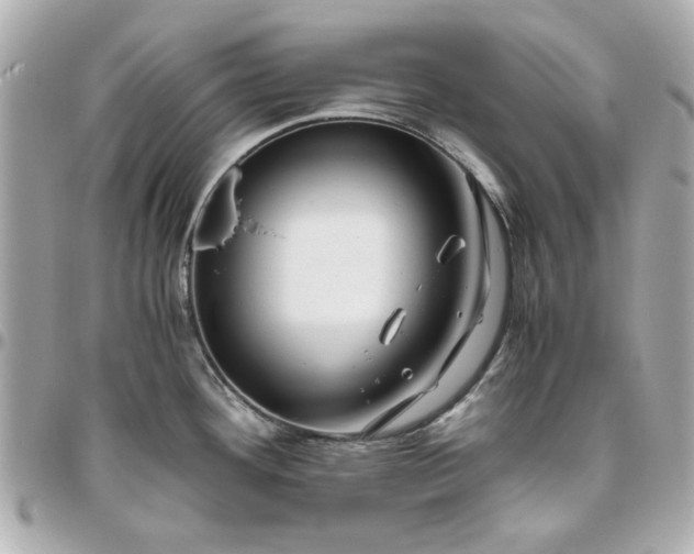 X0000096481292200802071911