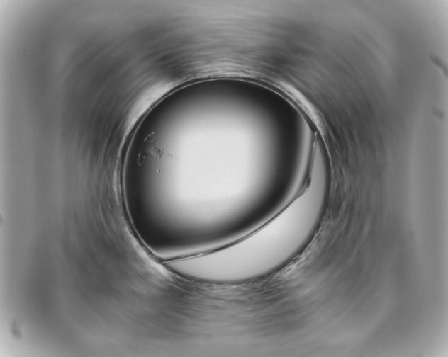 X0000096481293200802071911