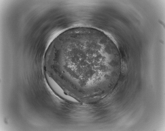 X0000096481295200802071911