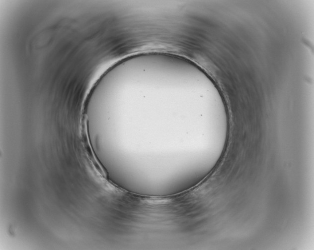 X0000096481296200802071911