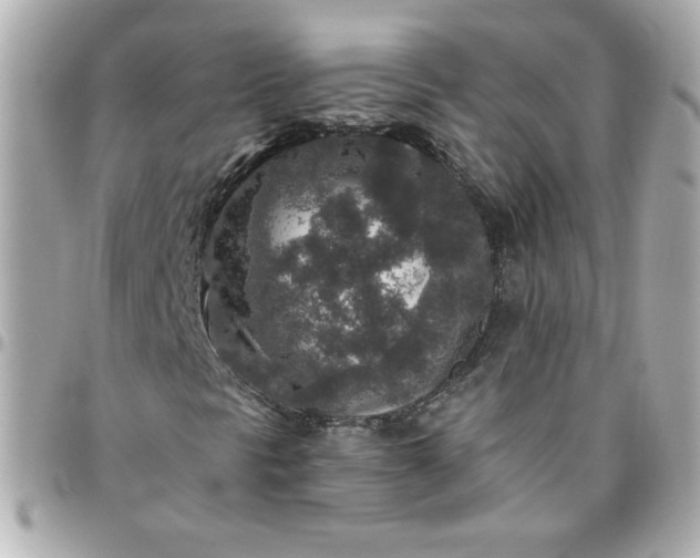 X0000096481297200802071910