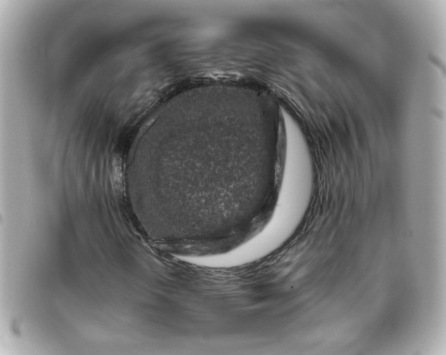 X0000096481298200802071910