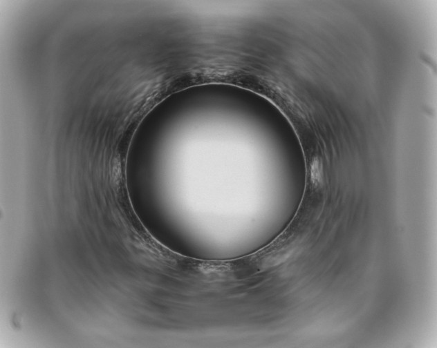 X0000096481299200802071910