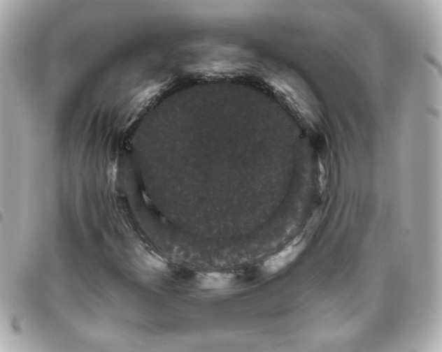 X0000096481300200802071910