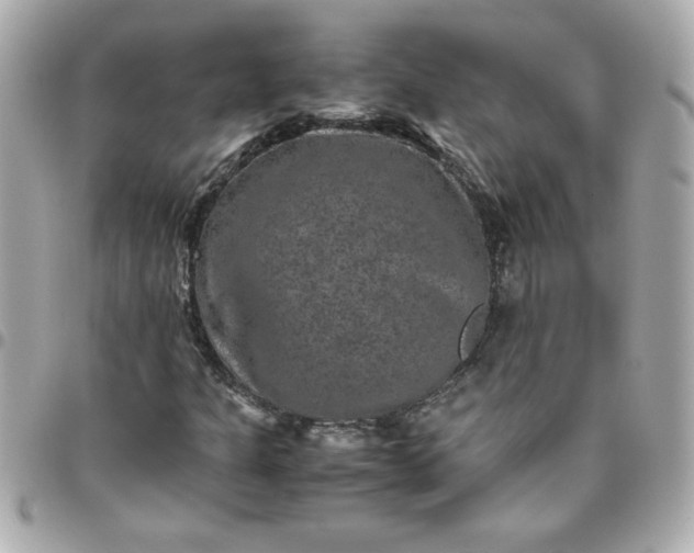 X0000096481301200802071910