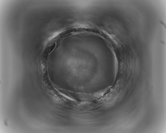 X0000096481303200802071910