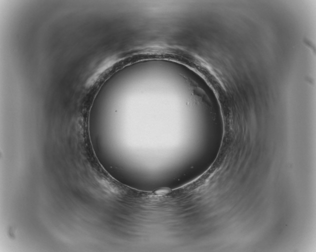 X0000096481304200802071910