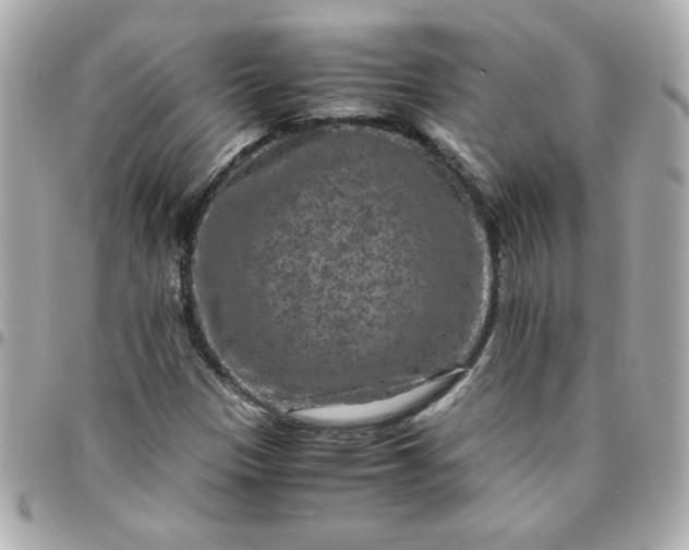 X0000096481305200802071910