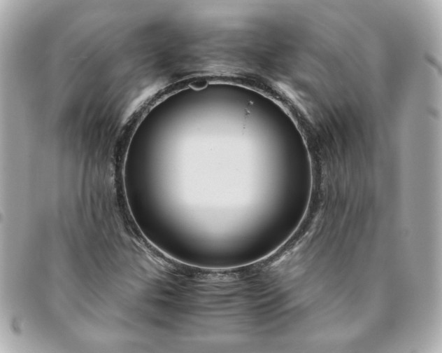 X0000096481307200802071910