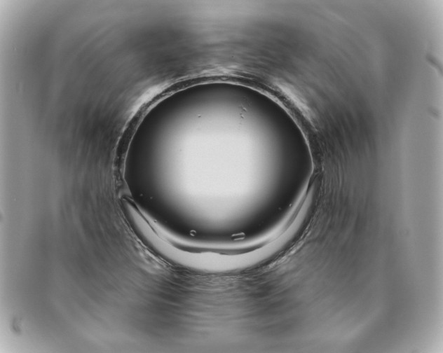 X0000096481308200802071910