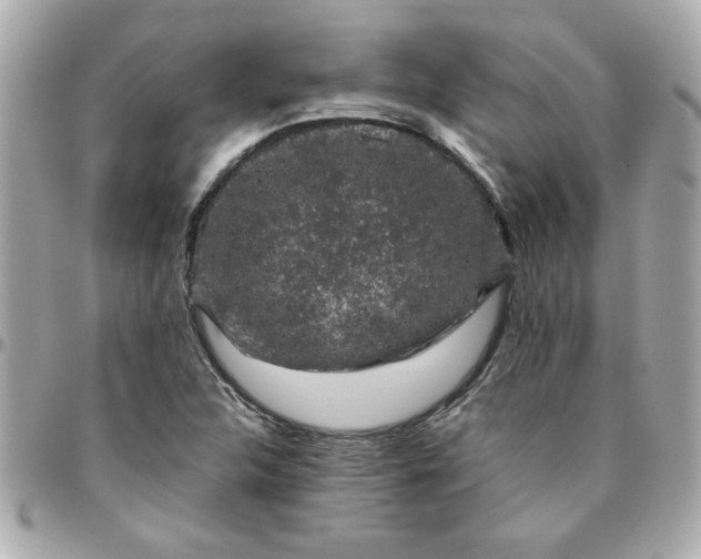 X0000096481312200802071910