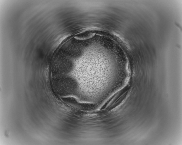 X0000096481313200802071910