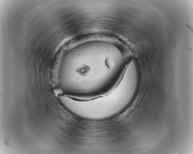 X0000096481314200802071910