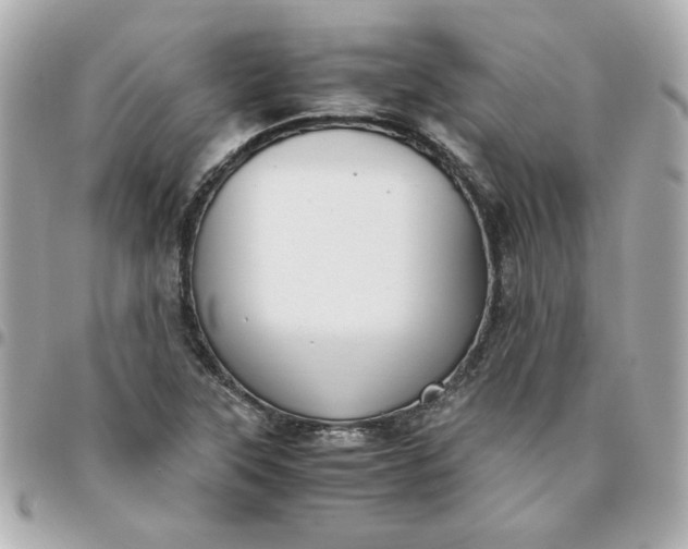 X0000096481315200802071910