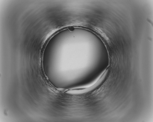 X0000096481316200802071910