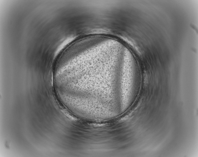 X0000096481317200802071910