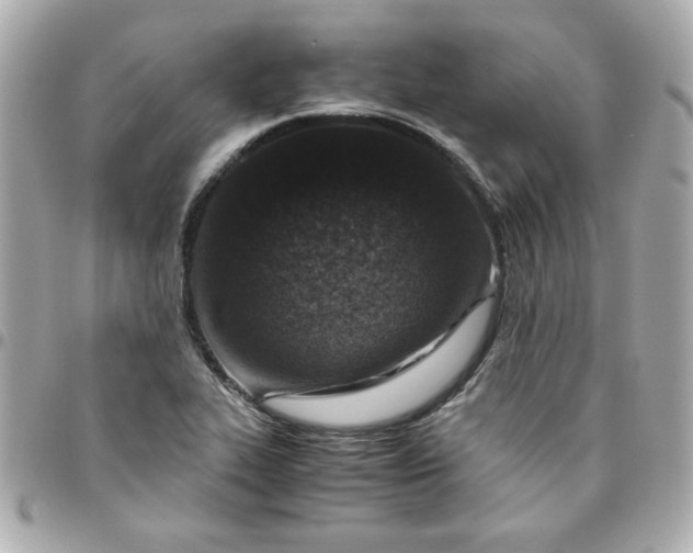 X0000096481319200802071910