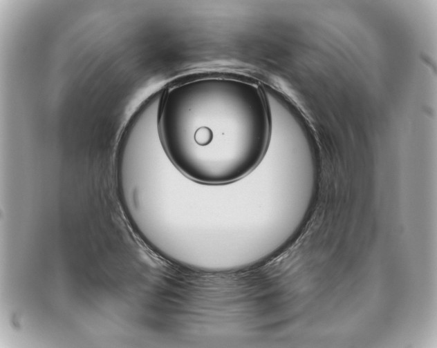 X0000096481320200802071910