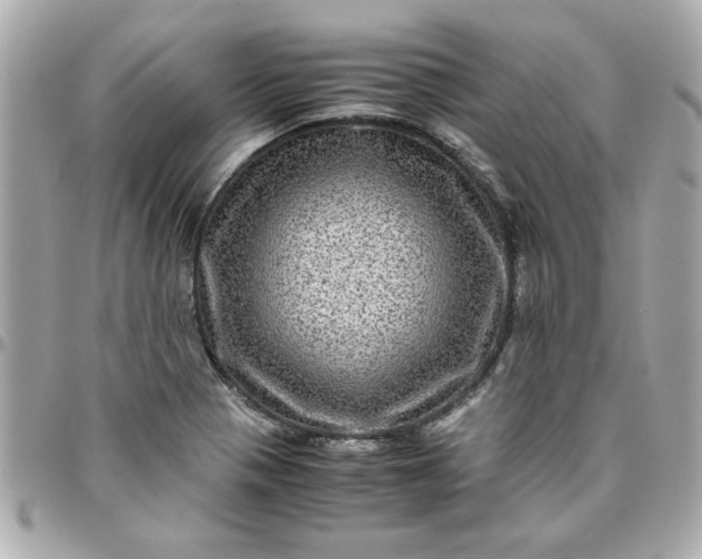 X0000096481321200802071910