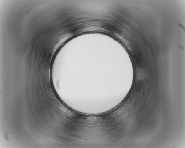 X0000096481322200802071910