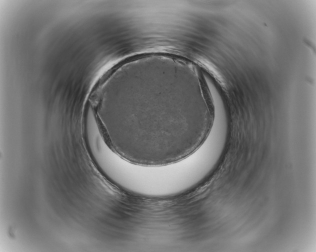 X0000096481324200802071910