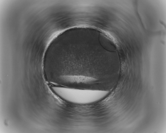 X0000096481327200802071910