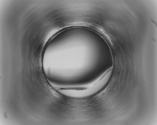 X0000096481328200802071910