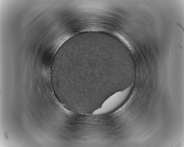 X0000096481329200802071910